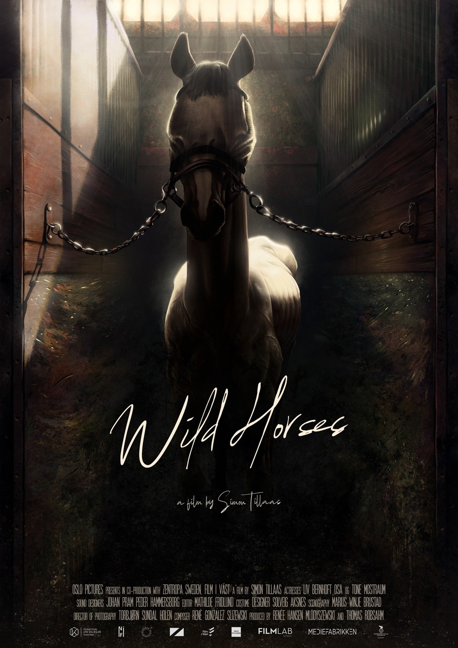 Wild Horses poster